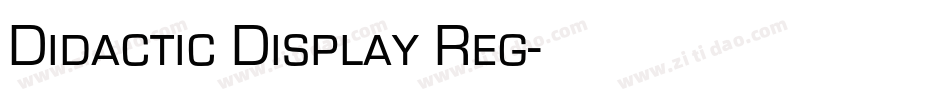 Didactic Display Reg字体转换
